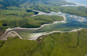 drakes estero california photo